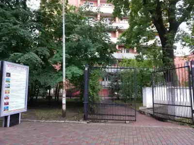 Чайка - 4
