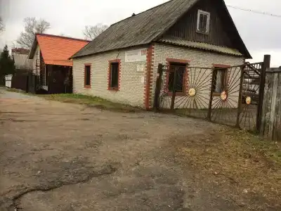 Фауна - 8