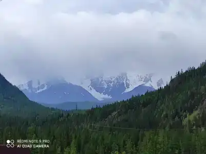 Зов гор Алтая - 12