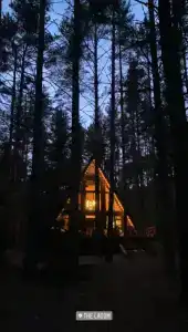 The Lagom - 49