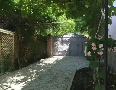 Бумеранг - 8