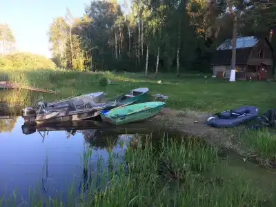 Пихтовая Аллея - 0