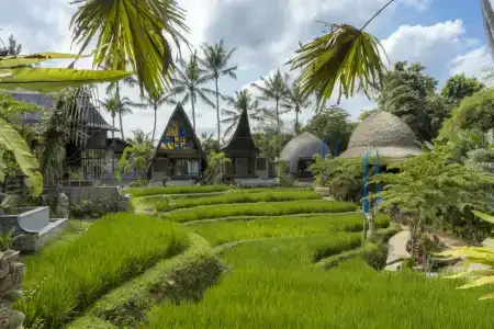 Menzel Ubud - 0