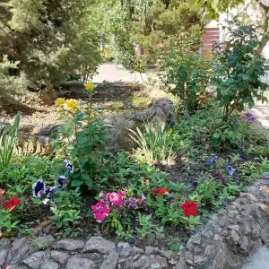 Фрунзенец - 33