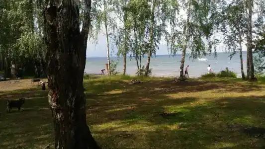 Поляна - 20