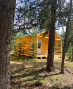 Forest camp - 18