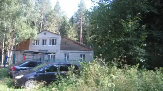 Лесной Родник - 15