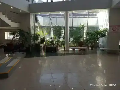 Руш - 100