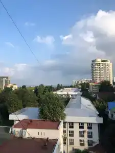 Магнолия - 60