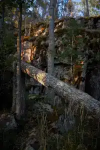 Карелия Парк - 55