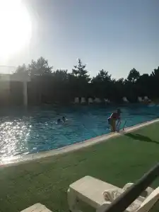 Капля моря - 31