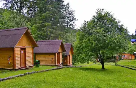 Шушенский бор - 19