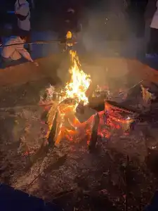 Полушкино - 50