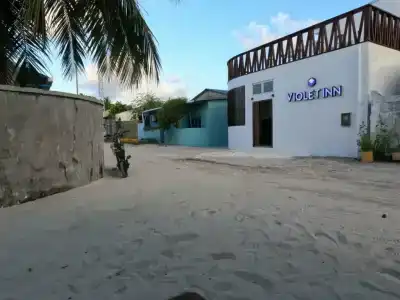 Violet Inn - 2
