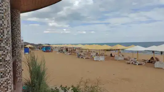 Санрайз - 41