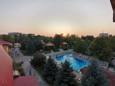 Дельфин - 22