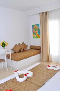 Bougainvillier Djerba - 16