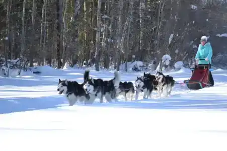 Алексеевское - 33