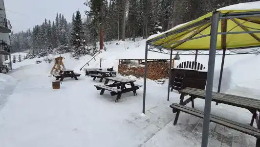 Замок Эдельвейс - 87