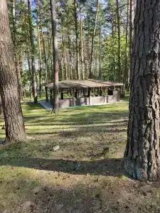 Березина - 20