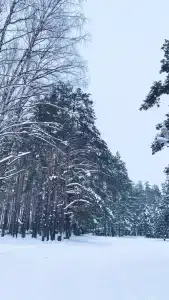 Любляна - 14