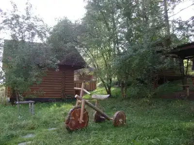 Лесная - 31