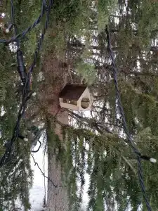 Гольфстрим - 53