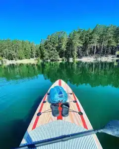 Лесная поляна - 3