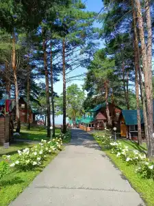 Иволга - 43