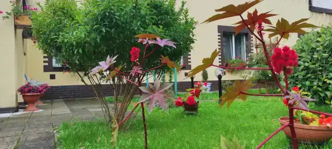 Тихая Гавань - 36