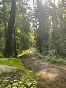 Подлипки - 7