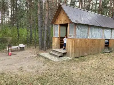 Тюльпан - 9