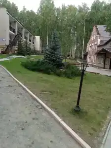 Берёзка - 11