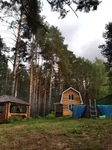 Медвежий угол - 47