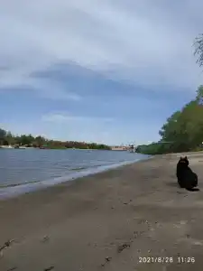 Бодрость - 29