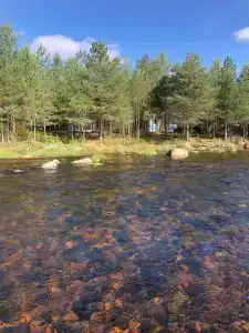 Сегежа Парк - 95