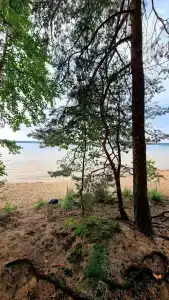 Белое озеро - 91