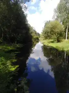 Разгуляево