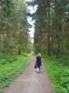 Пушкиногорье - 51