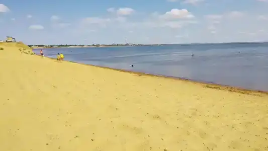 Причал 55 - 49