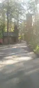 Колос - 39