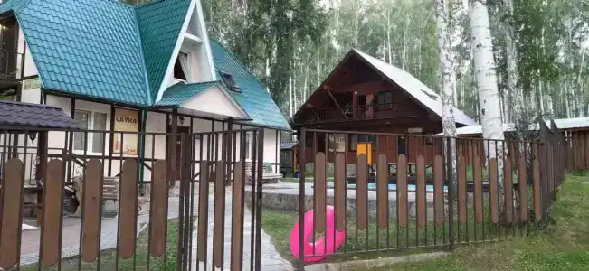 Берёзка - 25