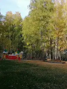 Солнечная поляна - 82
