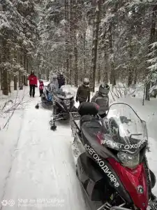 Снегоходия - 59