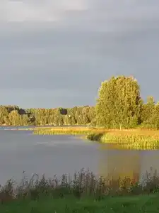 Мышгород - 61