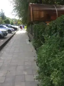 Седа - 6