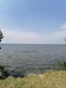 Ясная поляна - 41