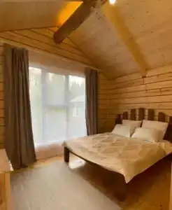 Forest camp - 3