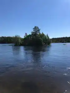 Сегежа Парк - 56