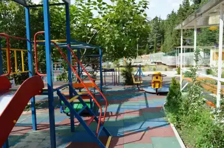 Кипарис - 17